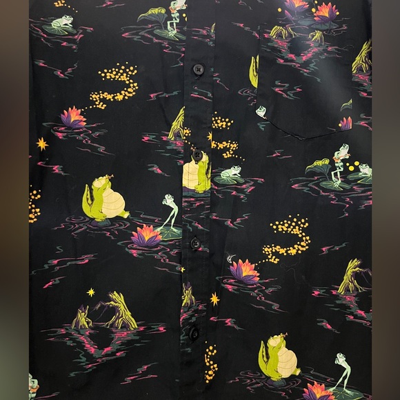 ✨Disney Princess and the Frog 🐸 - Picture 3 of 4